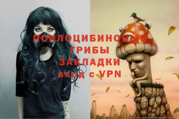 кокаин премиум Козловка
