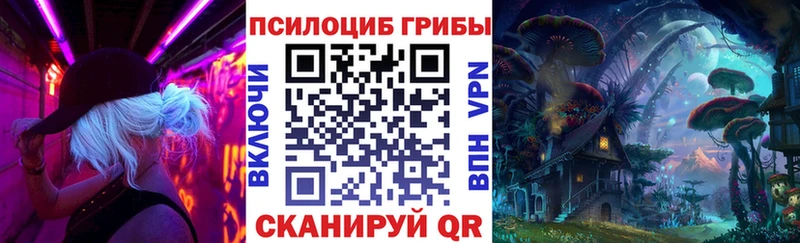 Купить  Камызяк  Псилоцибиновые грибы мухоморы 